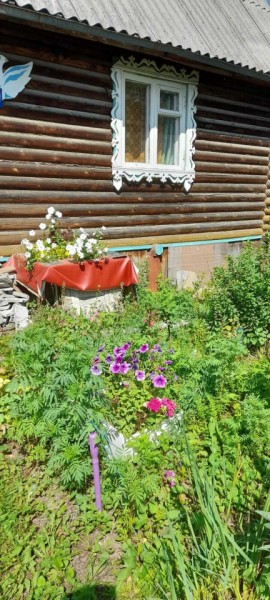 Белоярский р-н, у п. Хризолитовый, снт 50 лет Победы в Алапаевске - alapaevsk.yutvil.ru - фото 10
