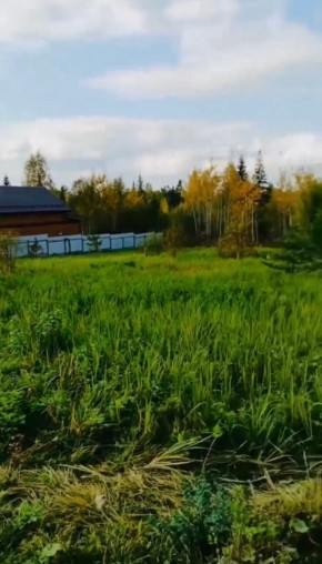 ДП Родной в Алапаевске - alapaevsk.yutvil.ru