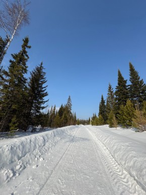 ДП Родной в Алапаевске - alapaevsk.yutvil.ru - фото 7