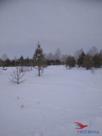 Земельный участок поселок Баженово в Алапаевске - alapaevsk.yutvil.ru - фото 5