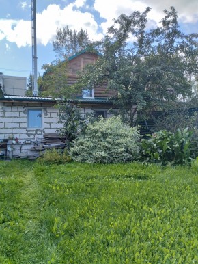 Коллективный сад номер 7, участок 58 в Алапаевске - alapaevsk.yutvil.ru - фото 21 Коллективный сад номер 7, участок 58 в Алапаевске - alapaevsk.yutvil.ru - фото 21
