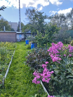 Коллективный сад номер 7, участок 58 в Алапаевске - alapaevsk.yutvil.ru - фото 23 Коллективный сад номер 7, участок 58 в Алапаевске - alapaevsk.yutvil.ru - фото 23