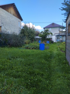 Коллективный сад номер 7, участок 58 в Алапаевске - alapaevsk.yutvil.ru - фото 26 Коллективный сад номер 7, участок 58 в Алапаевске - alapaevsk.yutvil.ru - фото 26