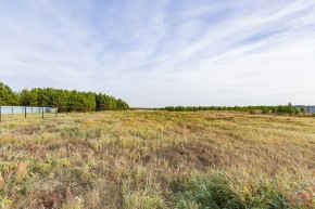 Российская Федерация, Свердловская область, Сысертский городской округ, территория садоводческого некоммерческого товарищества Бобровские дачи, улица Каштановая, земельный участок № 38 в Алапаевске - alapaevsk.yutvil.ru - фото 16