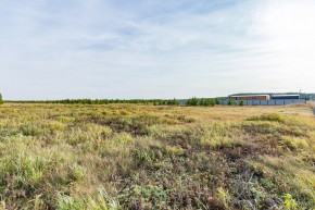 Российская Федерация, Свердловская область, Сысертский городской округ, территория садоводческого некоммерческого товарищества Бобровские дачи, улица Каштановая, земельный участок № 38 в Алапаевске - alapaevsk.yutvil.ru - фото 24