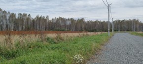 с. Новоалексеевское, КП Оникс,  в Алапаевске - alapaevsk.yutvil.ru - фото 1