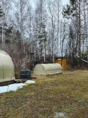 СНТ Родники в Алапаевске - alapaevsk.yutvil.ru - фото 14 СНТ Родники в Алапаевске - alapaevsk.yutvil.ru - фото 14