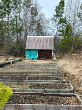 СНТ Родники в Алапаевске - alapaevsk.yutvil.ru - фото 7 СНТ Родники в Алапаевске - alapaevsk.yutvil.ru - фото 7