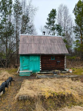 СНТ Родники в Алапаевске - alapaevsk.yutvil.ru - фото 8 СНТ Родники в Алапаевске - alapaevsk.yutvil.ru - фото 8