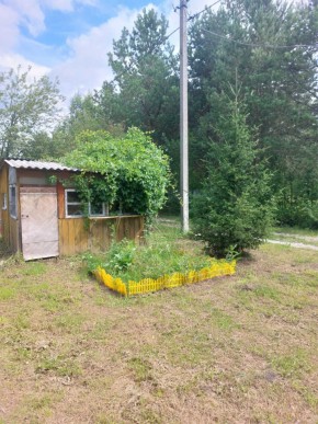 СНТ Родники в Алапаевске - alapaevsk.yutvil.ru - фото 2