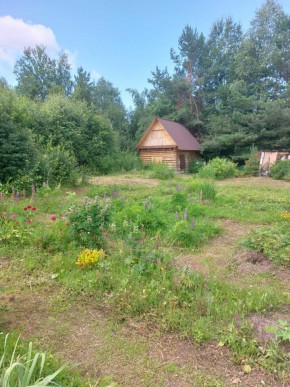 СНТ Родники в Алапаевске - alapaevsk.yutvil.ru - фото 3