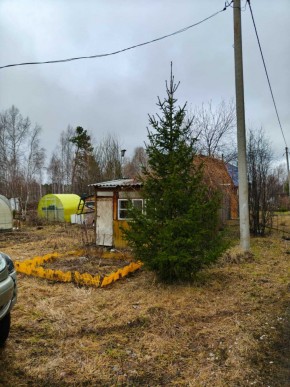 СНТ Родники в Алапаевске - alapaevsk.yutvil.ru - фото 5