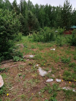 СТН Семья №112, Верхняя пышма на землях бывшего подсобного хозяйтва верхнепышминского опытного завода в Алапаевске - alapaevsk.yutvil.ru - фото 17 СТН Семья №112, Верхняя пышма на землях бывшего подсобного хозяйтва верхнепышминского опытного завода в Алапаевске - alapaevsk.yutvil.ru - фото 17