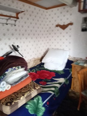 Белоярский р-н, у п. Хризолитовый, снт 50 лет Победы в Алапаевске - alapaevsk.yutvil.ru - фото 9