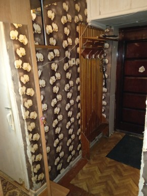 ул. Бажова,11 в Алапаевске - alapaevsk.yutvil.ru - фото 9