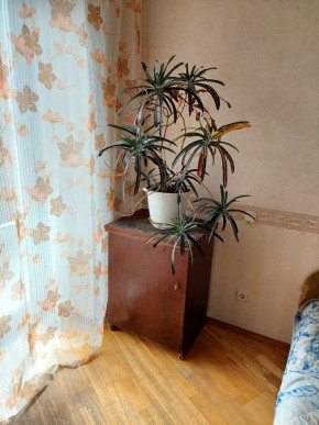 ул. Индустрии,29 в Алапаевске - alapaevsk.yutvil.ru - фото 4 ул. Индустрии,29 в Алапаевске - alapaevsk.yutvil.ru - фото 4