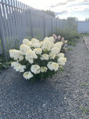 ул. Весенняя,12 в Алапаевске - alapaevsk.yutvil.ru - фото 20
